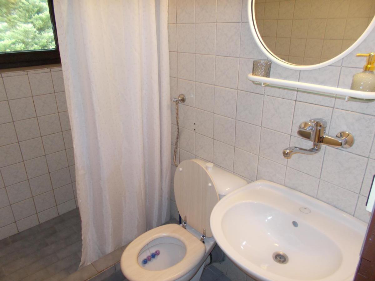 Pension Tara Teplice nad Metují Exteriör bild