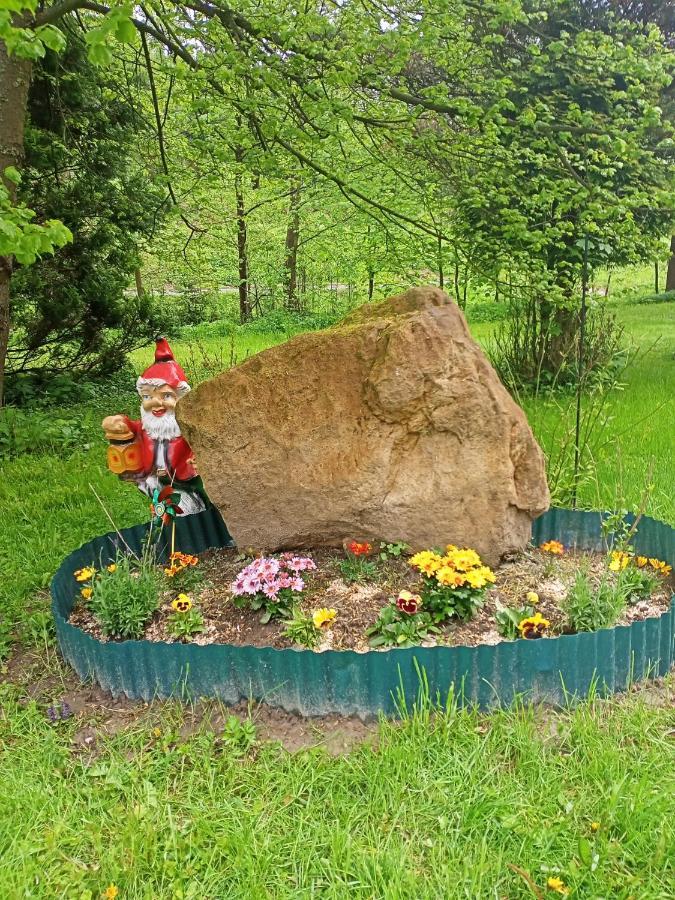 Pension Tara Teplice nad Metují Exteriör bild