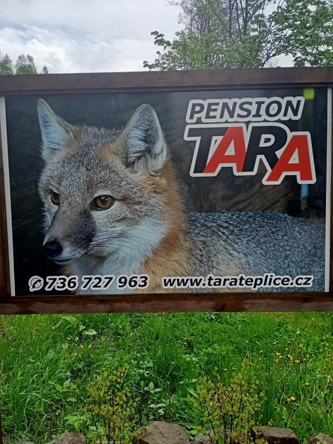Pension Tara Teplice nad Metují Exteriör bild