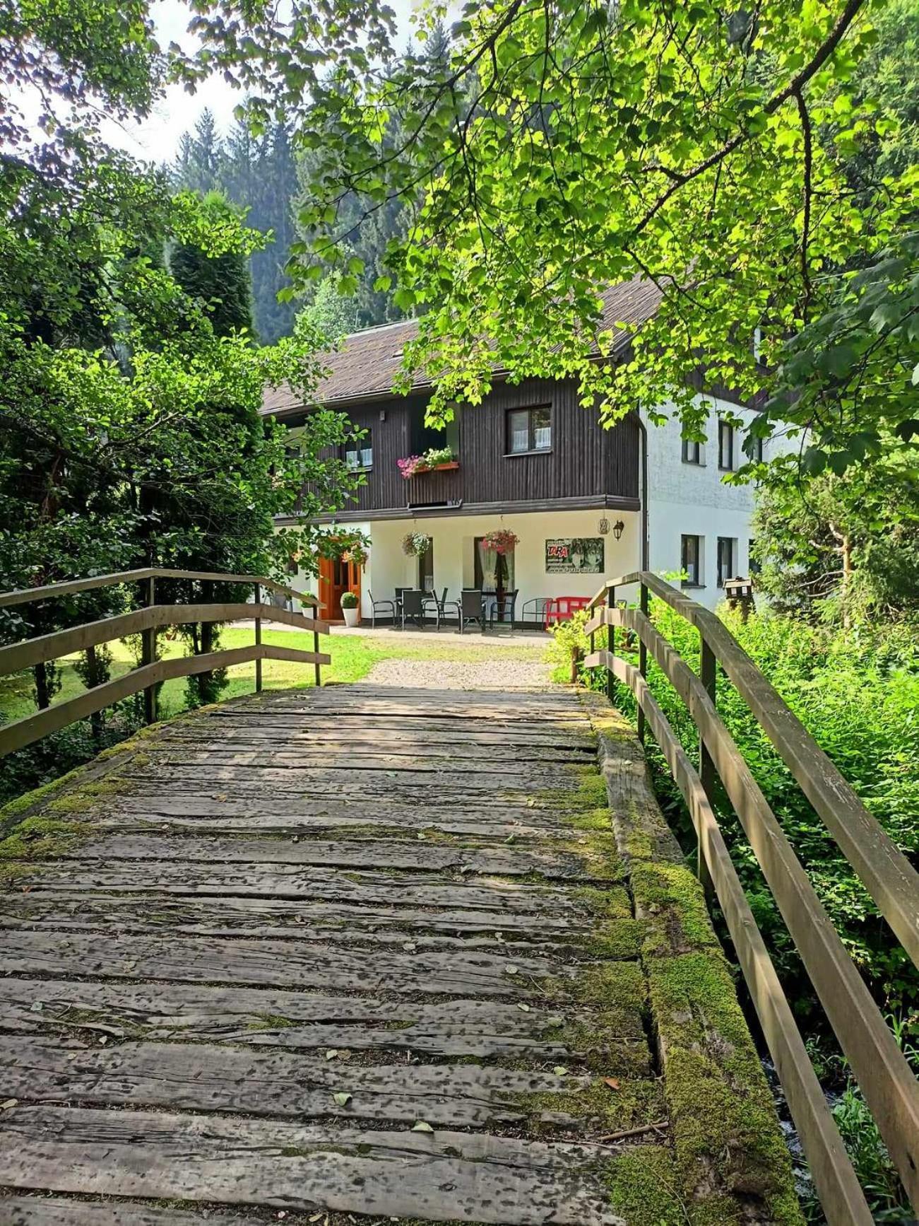 Pension Tara Teplice nad Metují Exteriör bild